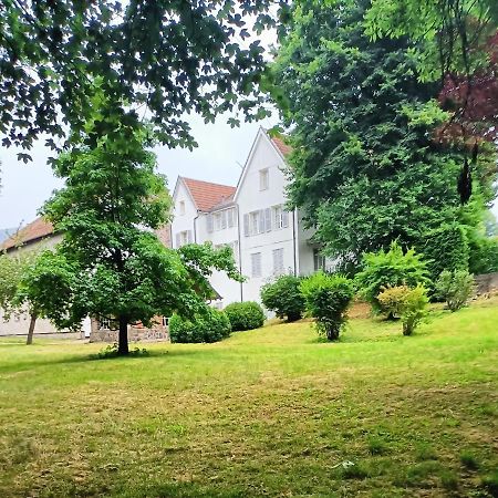Domaine De La Moselle Bed and Breakfast Saint-Maurice-sur-Moselle Εξωτερικό φωτογραφία