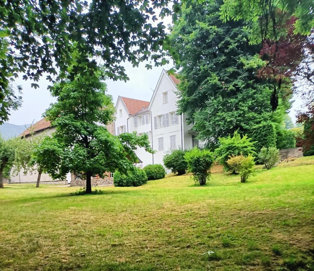 Domaine De La Moselle Bed and Breakfast Saint-Maurice-sur-Moselle Εξωτερικό φωτογραφία