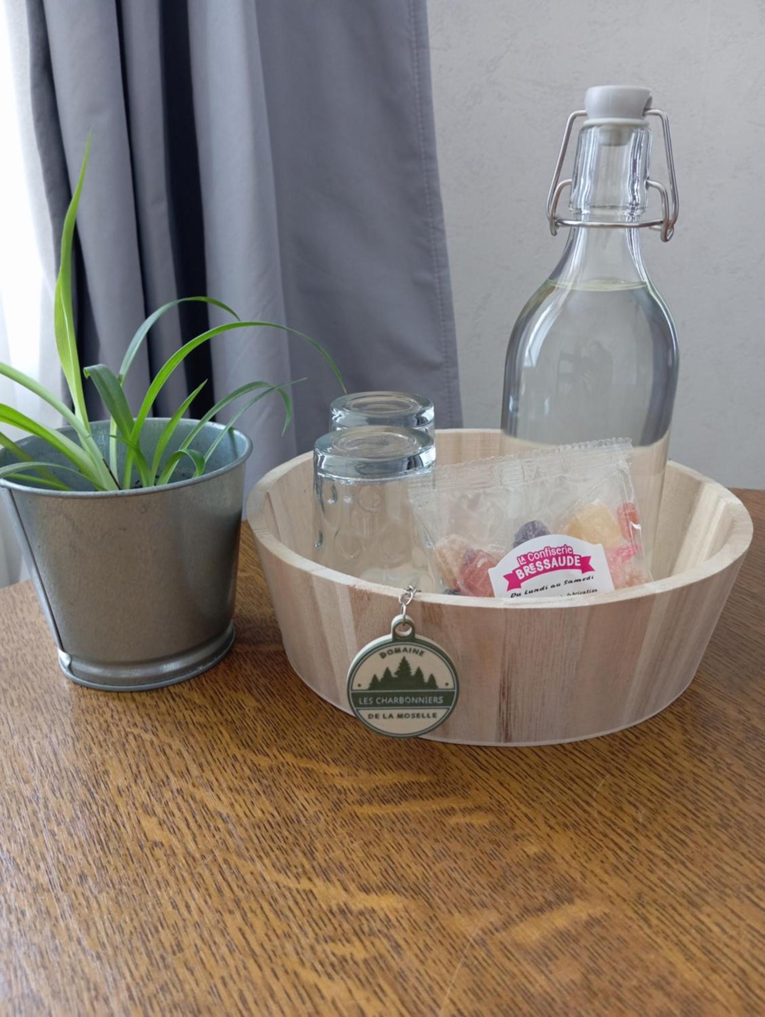 Domaine De La Moselle Bed and Breakfast Saint-Maurice-sur-Moselle Εξωτερικό φωτογραφία